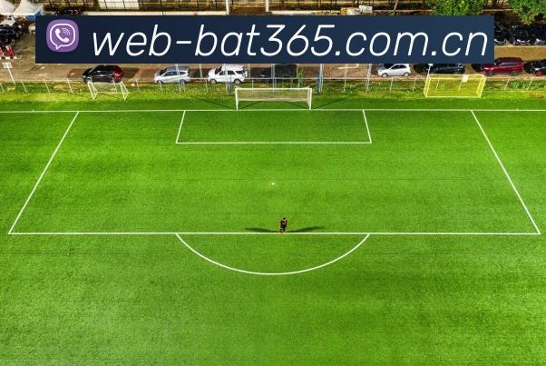 bat365中文APP界面展示
